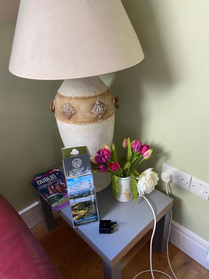 Scarr View 1St Floor Apartment A98W710 Wicklow Luaran gambar